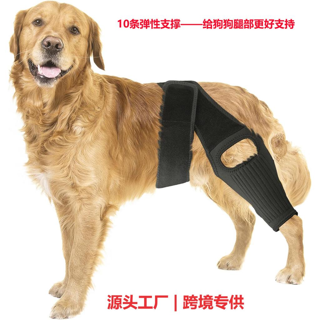 Adjustable Dog Leg Brace Support with Removable Stiffening Strips and Collar Strap for Pet Limb Protection and Stability HT2 Model