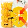 Piège à guêpes réutilisable en forme de fleur Entonnoir Outils de contrôle des insectes volants Attrape-abeilles Pièges ménagers pour jardin Outil d'apiculture Vente en gros