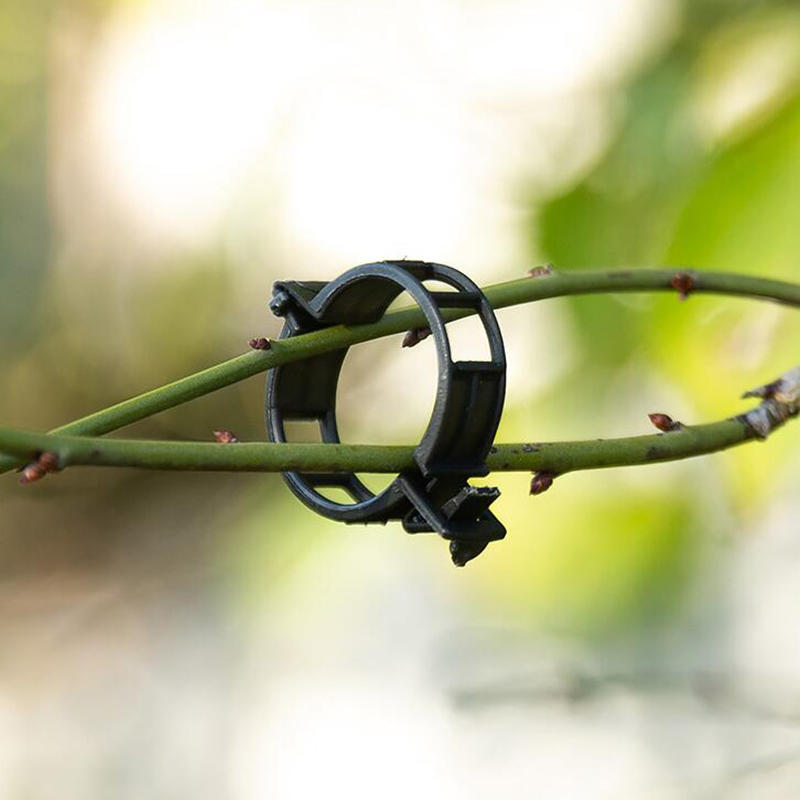 100PCS Garden Plant Flowers Tied Bundle Branch Clamp Clip Class Tools Flowers Vegetables Vine