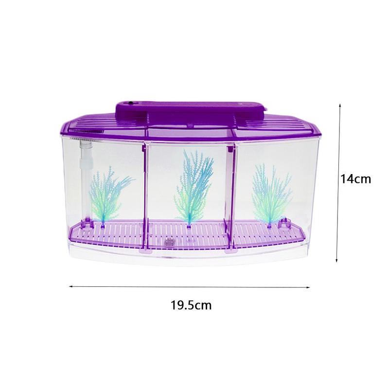 tropical fish prices