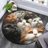 Curious Cat Round Area Rug,Carpet Rug for Living Room Bedroom Sofa Playroom Decor,Non-slip Floor Mat