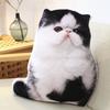 Cat & Dog Plush Toy - Corgi Chihuahua Cushion & Rag Doll