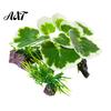Betta Fish Hiding Spot Aquarium Artificial Plant, Realistic Plastic Plants, Underwater Faux Greenery, Decoration Tank Fake Aquatic Plants for Scenery