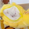 Duck Goose Girl Gift Cartoon Animal Crossbody Bag Plush Bag Women Shoulder Bag Korean Style Bag