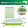 Garlic & Pea Sprouts Hydroponic Tray - Seedling & Sprouting Tool