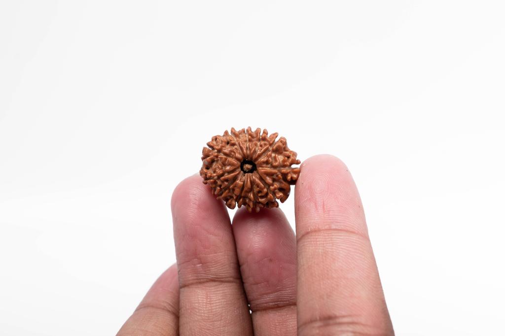 Natural 11 Mukhi Rudraksha Bead – Nepali Origin | Energized Bead for Lord Hanuman Blessings, Courage & Fearlessness | Organic & Lab Certified