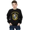 Harry Potter Boys Hufflepuff Sweatshirt