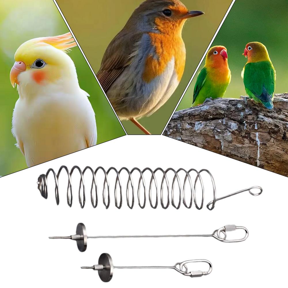 Bird Toys For Parrots Conure Toys Fruit Feeder Bird Supplies 3 Pieces Stainless Steel Cage Accessories Foraging Pet Supplies