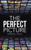 Libro The Perfect Picture