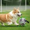 1pc Small Dog Toy Ball, Bite Resistant Football for Interactive Play, Pet Training Soccer Ball for Puppies