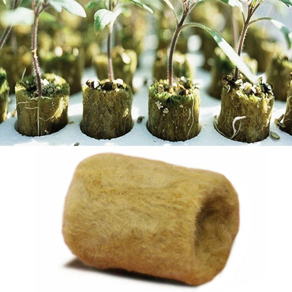50PCS Hydroponic Substrate Rock Wool Plug Garden Sponge Nursery Block Plant Propagation