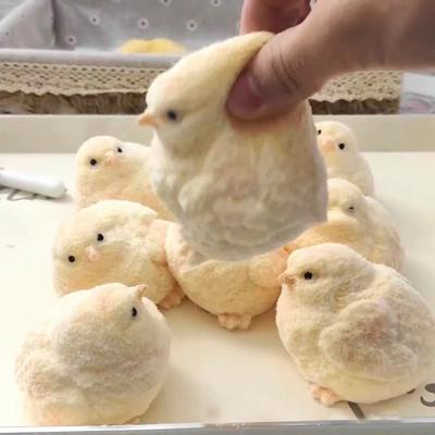5 pièces Jouet en Peluche Poulet Réaliste Squeeze Squish Crème Pâte Sensorielle Douce Qualité Alimentaire Jouet Anti-Stress pour Adultes