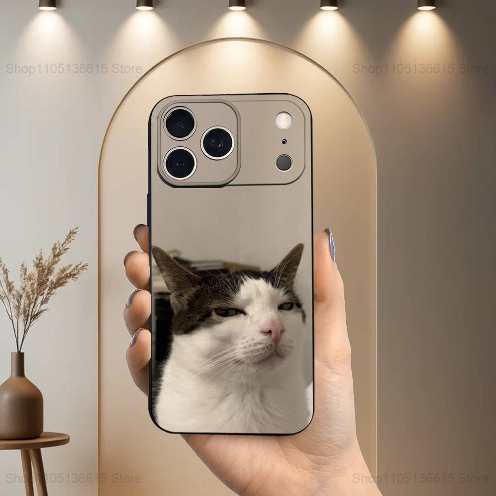 

Смешные арт-мемы с кошками для iPhone 13,17,11,12,16,14,15,Plus,Pro Max,XS,X,XR,SE,Mini,8,7, Мягкий силиконовый черный чехол для телефона iPhone14PROMAX