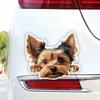 DK125# Yorkshire Terrier Car Stickers Scratch Covering Self-Adhesive Waterproof Decal Motorcycle Decorative Accessories