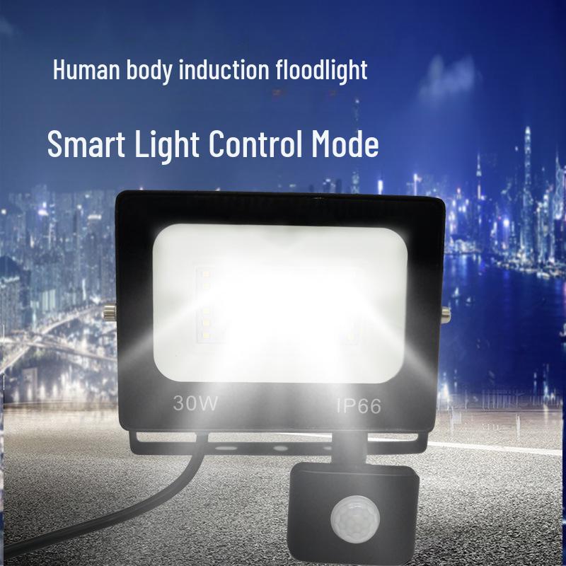 20W IP66 LED Motion Sensor Floodlight with Sound-Light Control