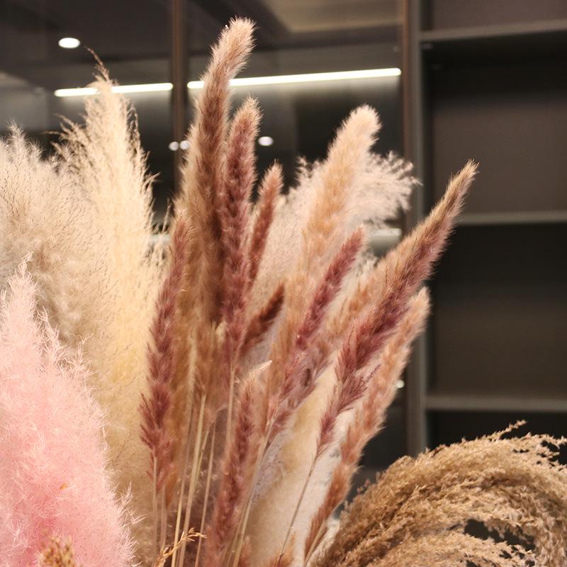 Preserved Small Dried Reed Rabbit Tail Flower Bouquet