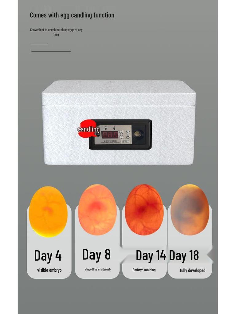 Weida Fully Automatic Small Incubator for Chicken, Duck, Goose, Pigeon, and Peacock Eggs