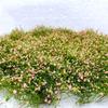 Miniature Vegetation Scene Model Simulation DIY Sand Table Grass Cluster  Landscape Decoration