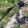 Hongtu HT-2176 Camouflage Camping Tent