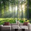 3d Green Forest Murals Nature Scenery Wall Murals Living Room Bedroom Background Forest Wallpaper Home Decor
