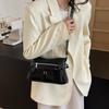 Fashion Bag Women's New Small Square Bag Versatile Commuter Casual Messenger Bag
