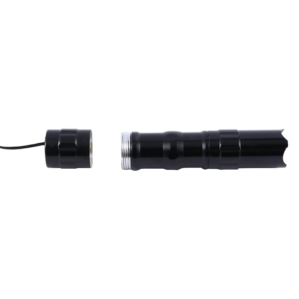 Fashion Keychain Hiking Waterproof Mini LED Torchlight Ultra Bright Light Lamp Flashlight Torch