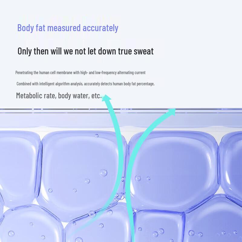 Bear Smart Bluetooth Body Fat Scale (CN version)