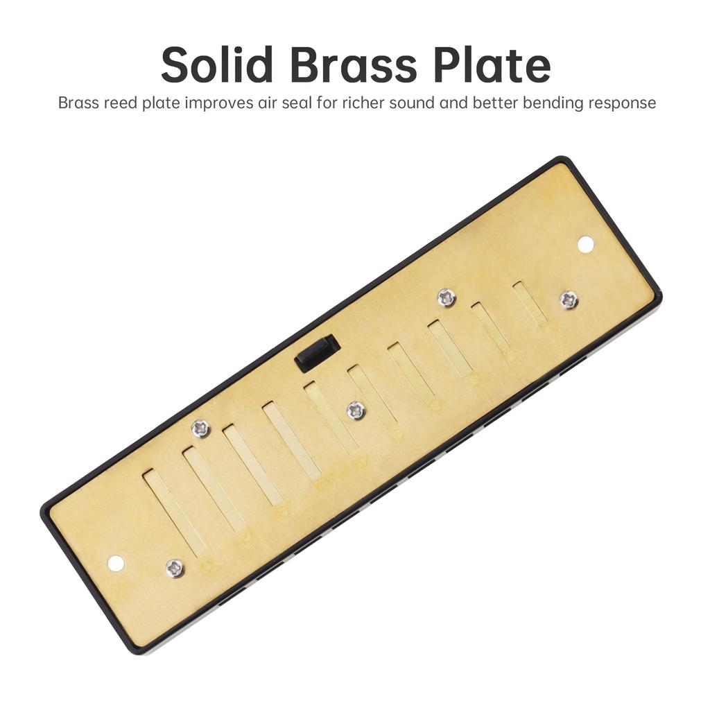 10 Holes KeyC Blues Harmonica Beginner Gifts Brass Reed Plate Black Mouth Organ 20 Tunes