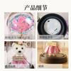 Mother's Day Gift Gold Foil Rose Immortal Flower Bear Glass Cover Ornament Valentine's Day Gift Night Light