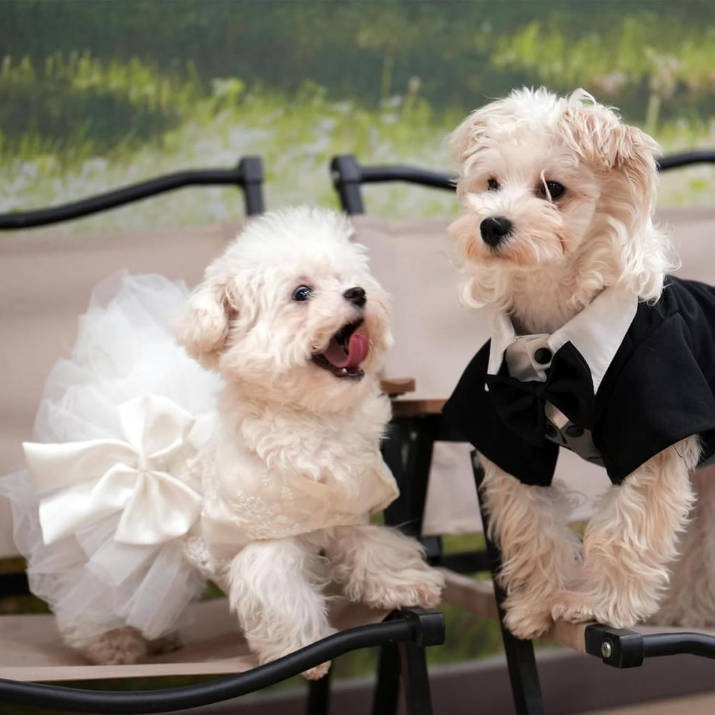 Dog Dress,Pet Wedding Dress Princess Formal Tutu Skirt with Bowknot,Puppy Birthday Party Outfit Apparel Girl for Small Dogs Cats (White Lace,