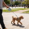 Retractable Dog Leash Heavy Duty 16Ft Tape Leash Tangle-Free Leash with One-Button Control Comfortable Handle for Small Medium Dogs
