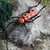 Simulation Insect Small Animal Toy Mosquitoes OrchidsMantis SpadeBeetle Simulation Animal Model Home Garden Ornaments