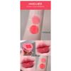 Gegebear Heart Shaped Moisturizing Lip Gloss Hydrating Color Boosting Long Lasting Non Staining