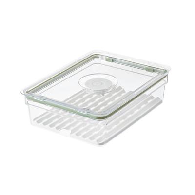 Large Clear Produce Storage Bin with Removable Tray Airtight Lid Space Saving Fridge Freezer Pantry Vegetable Organizer