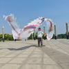 Oujian 8m Ribbon Dragon Dance Prop
