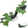 Ventosa Réptil Árvore para Subir Galho Resina Habitat Répteis Plantas Gecko Planta Ornamento Anfíbio
