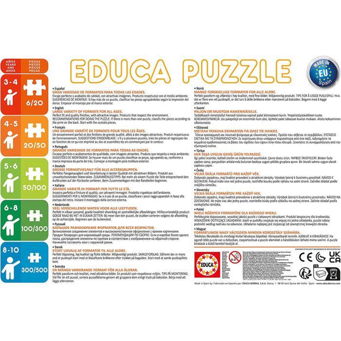 Puzzles 2 X 100 Pieces : Disney : Charm