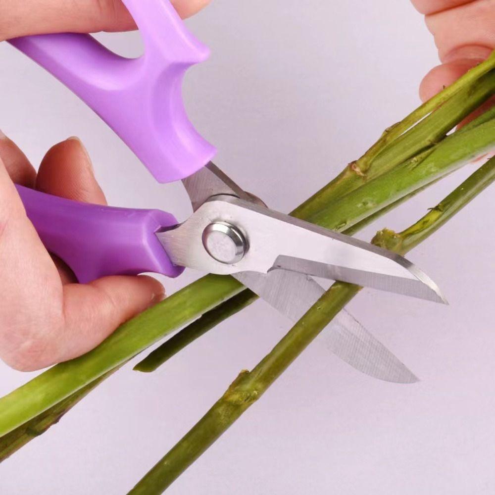 Rosa Gartenscheren Lila Blumenschere Handschneider Garten-Astschere für Bonsai Obstbäume