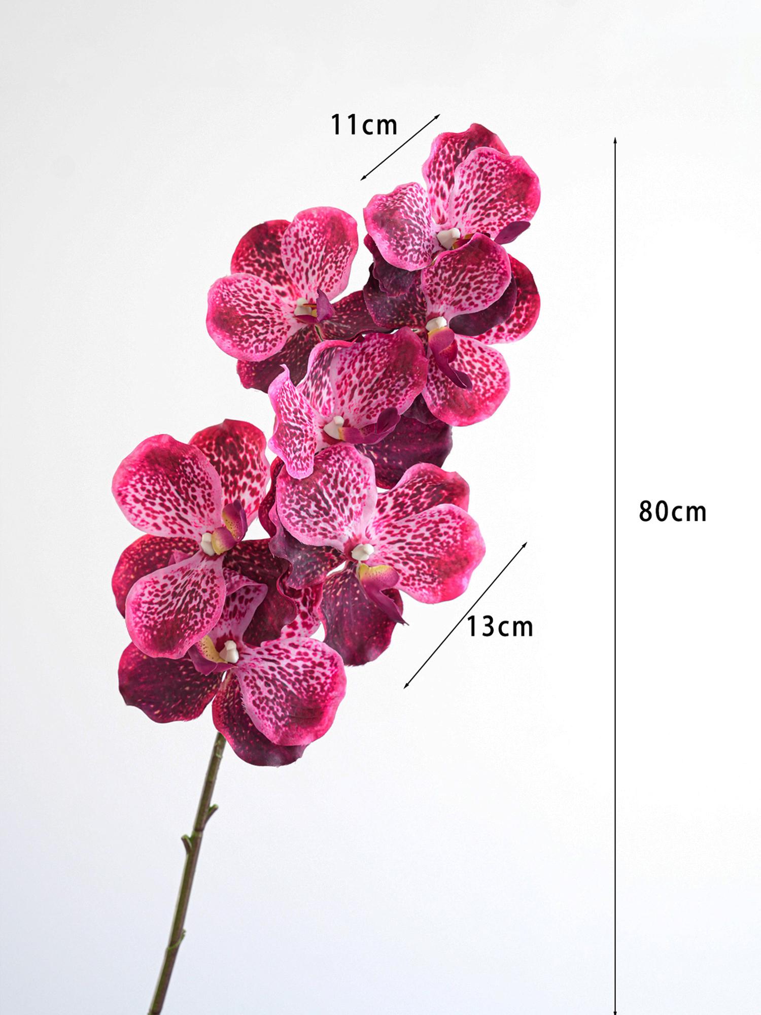 

Artificial Vanda Orchid Flowers Real Touch Fake Orchid Folral Arrangement Realistic Decorative Vanda Flower H 80cm