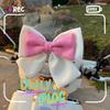Luna Sunny Day Cute Two-Tone Electric Vehicle Bow & Sticker Accessories