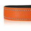 Collier pour chien - HEELE - Nylon et néoprène - Réfléchissant - Boucle de sécurité - Confortable