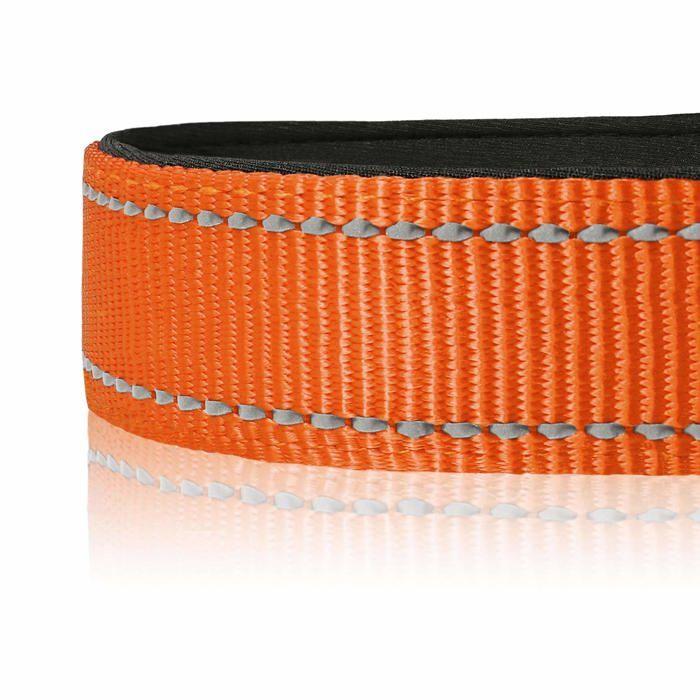 Collier pour chien - HEELE - Nylon et néoprène - Réfléchissant - Boucle de sécurité - Confortable