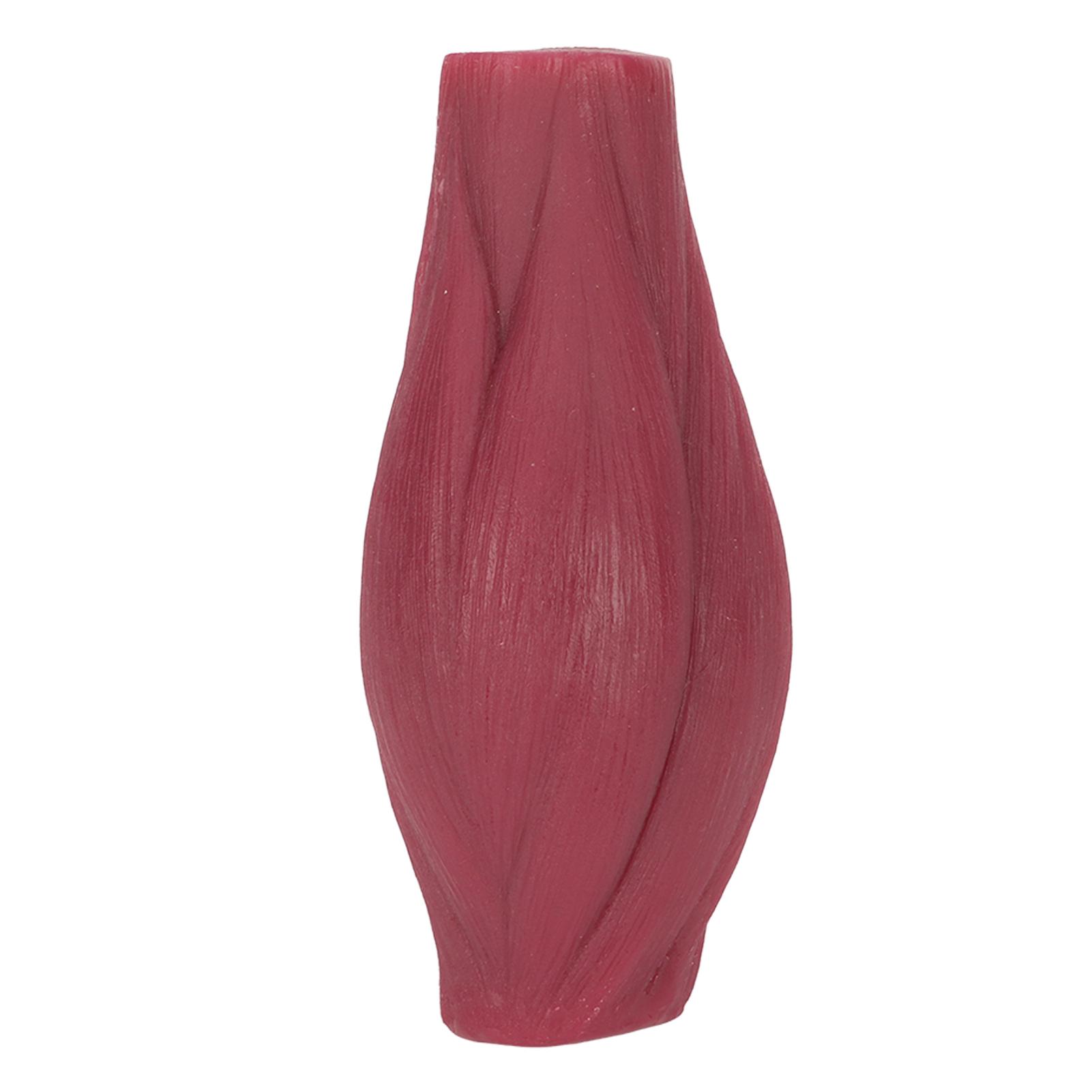 

Human Body Muscle Replica Model Plastic Realistic Texture 1lb Muscle Replication Model for