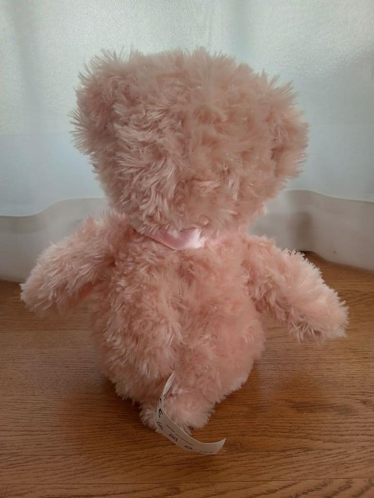 [USED] Honey Teddy Bear