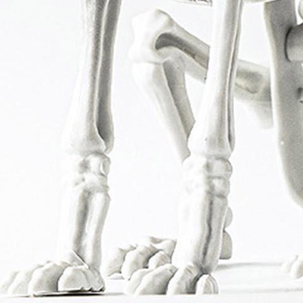 Event Party Decoration Animal Skeleton Skeleton Decoration Props