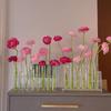 Test Tube Glass Vase Insertion Type Decorative Flower Rack Hydroponic Flower Pot Combination Vase Office Living Room Decoration
