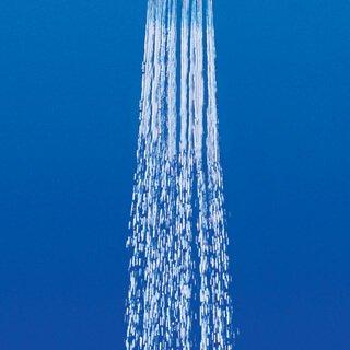 2842220J GROHE Tempesta 100 Hand Shower, Dual (Authorized GROHE Online Store, Compliant with Japanese Standards)