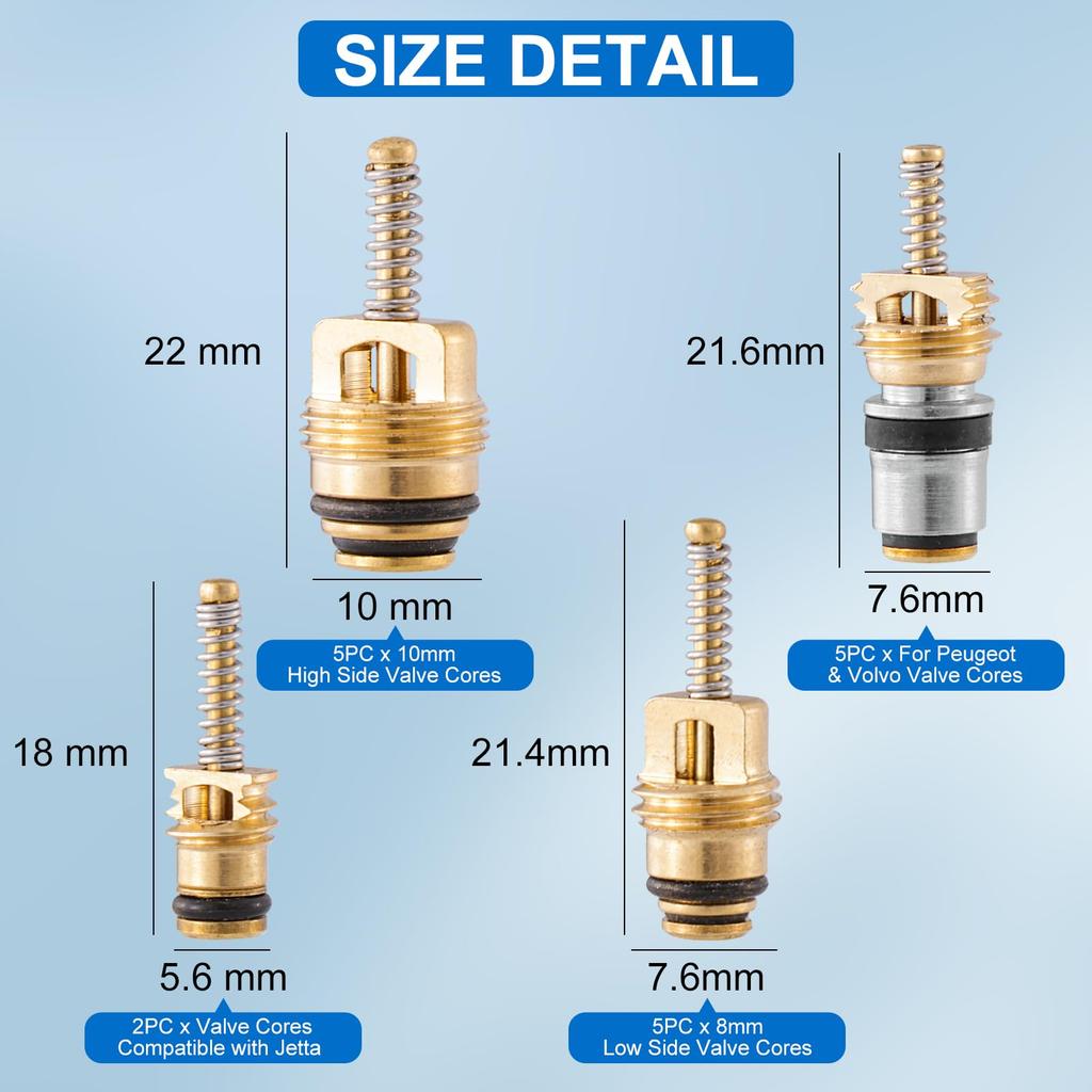 ACTigbear Valve Core Kit, Car Air Conditioner Valve Core, R12