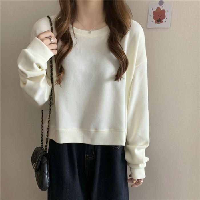 Korean Version of Small Man Long-sleeved Short T-shirt Women's Spring and Autumn New Design Sense Niche Top Versatile Sweater