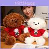 Bear Stuffed Teddy Toy Girl Birthday Gift Cartoon Cute Sweater Dog Figure Action